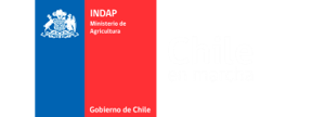INDAP.png